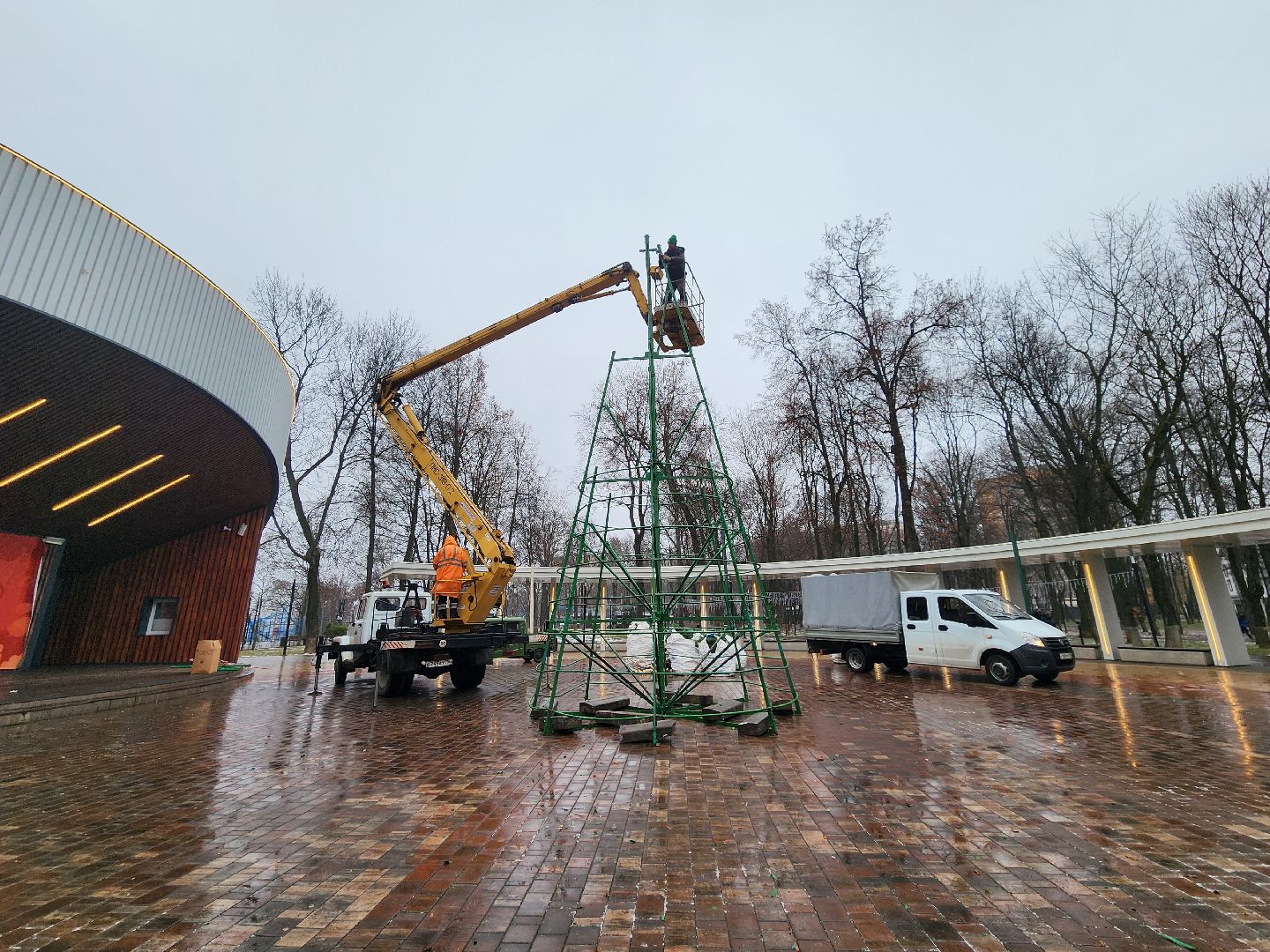 Подольск , Парк Талалихина , новогодняя ель в парке,