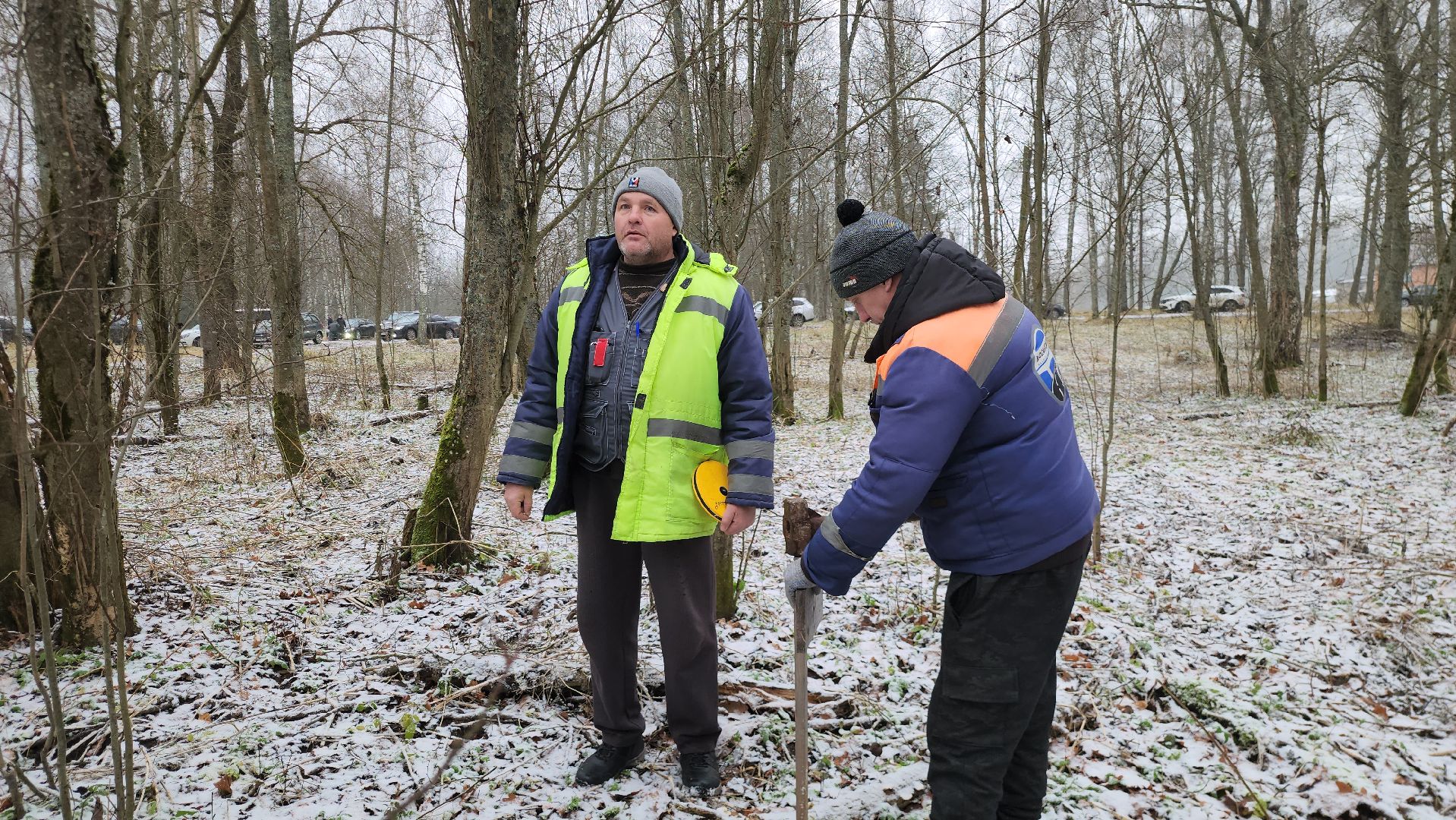 Руза, кремлевская елка, Мосавтодор,