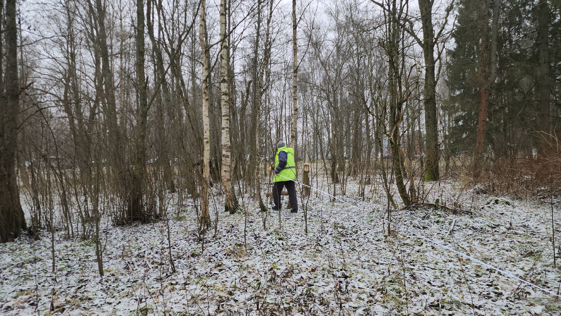 Руза, кремлевская елка, Мосавтодор,