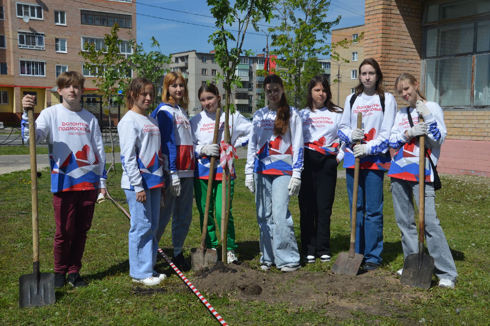 Шатура, Лес Победы, Всероссийская акция. 2369 саженцев.