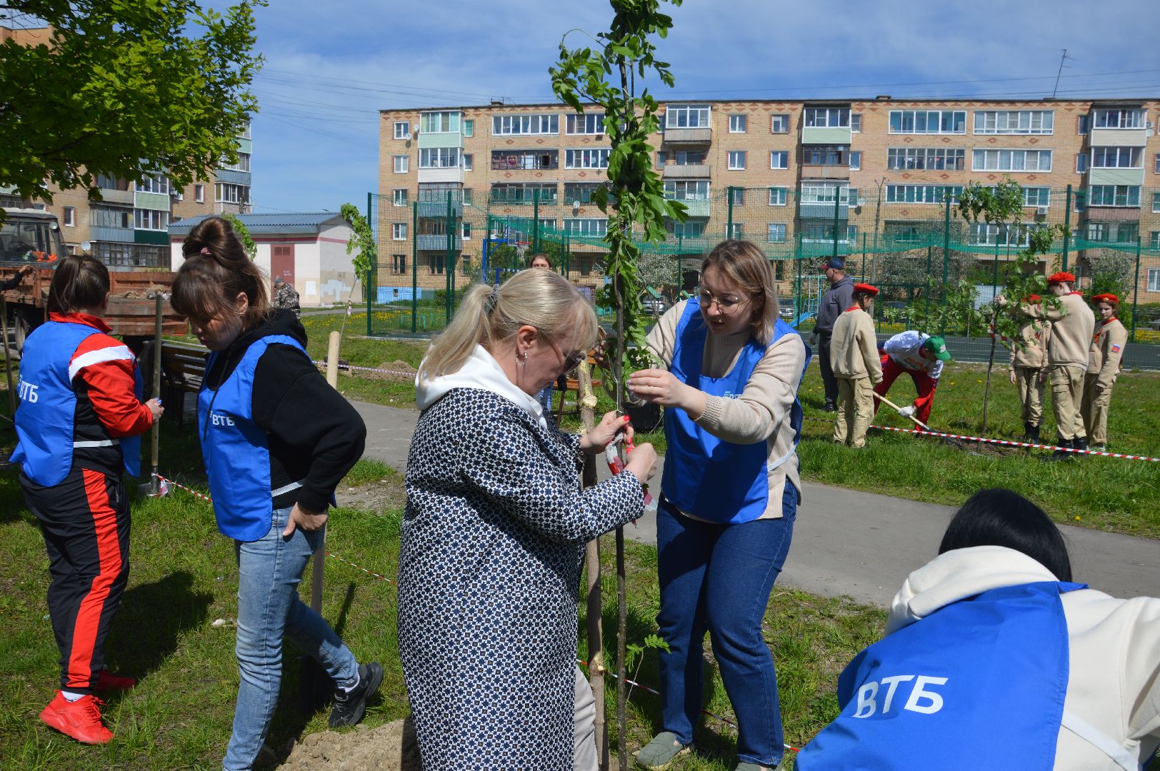 Шатура, Лес Победы, Всероссийская акция. 2369 саженцев.