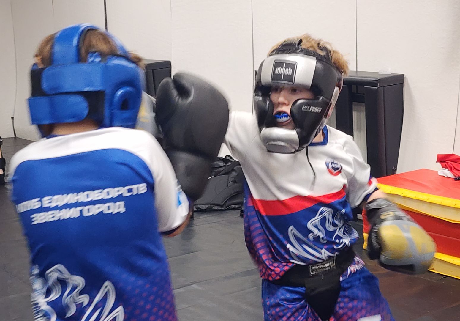 Спорт, Единоборства , Кикбоксинг, Спортивный Звенигород,  Люди Звенигорода,