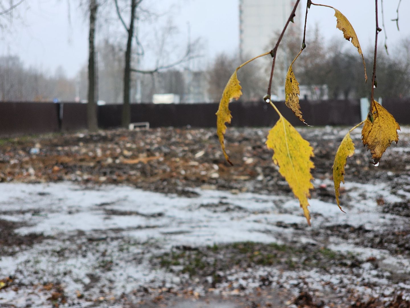 снос аварийного дома, аварийный дом, благоуйстройство, старая купавна,  богородский городской округ,