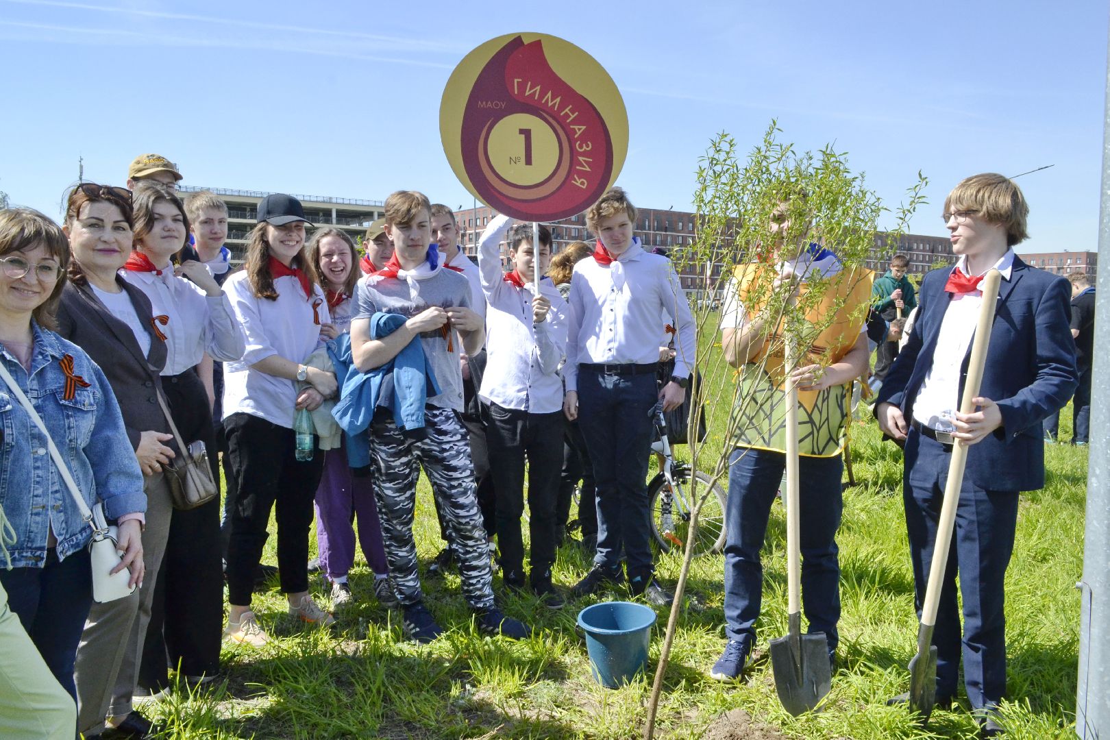 Балашиха, Подмосковье, акции, Лес Победы