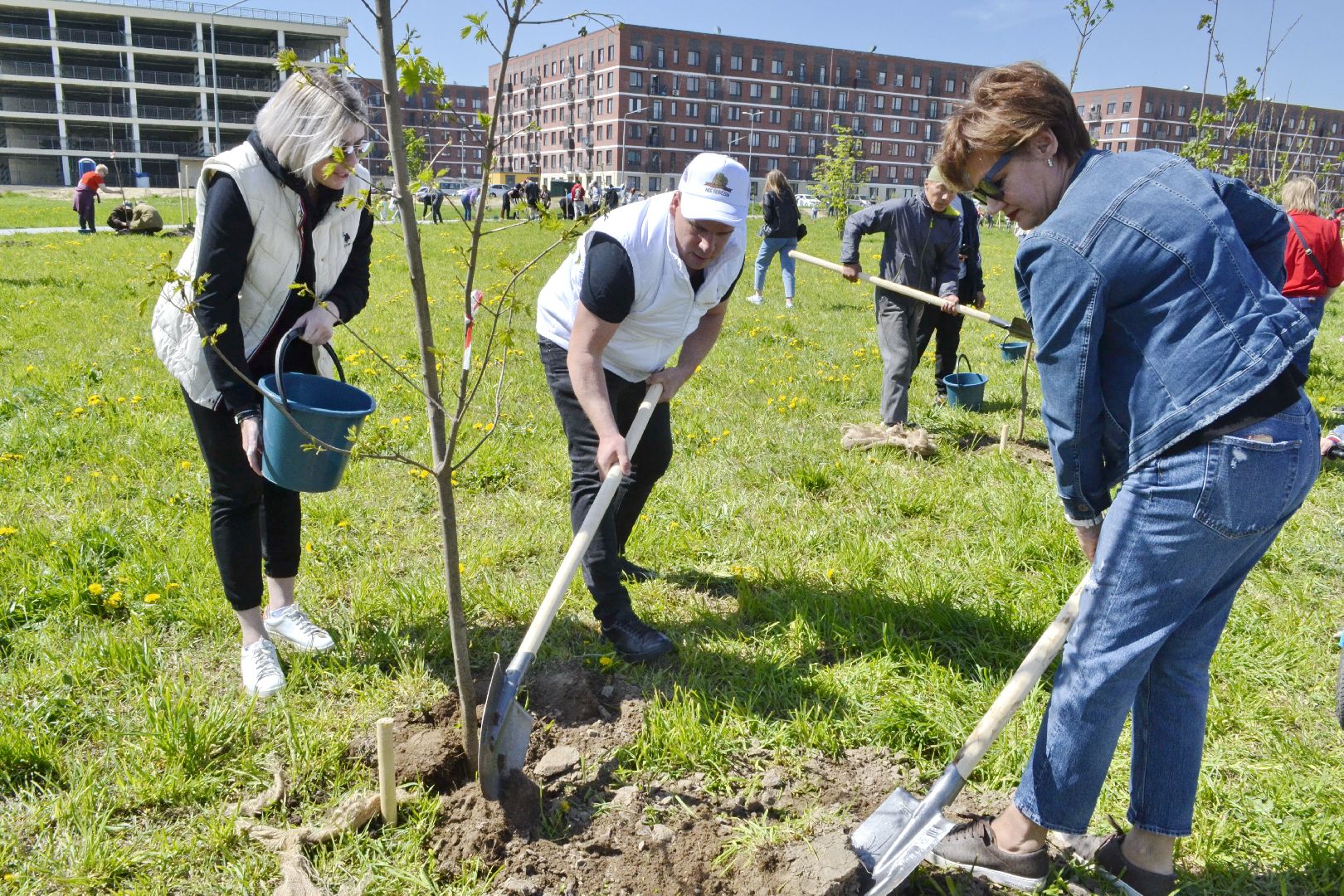 Балашиха, Подмосковье, акции, Лес Победы