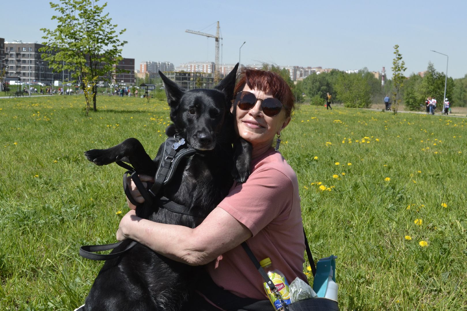 Балашиха, Подмосковье, акции, Лес Победы