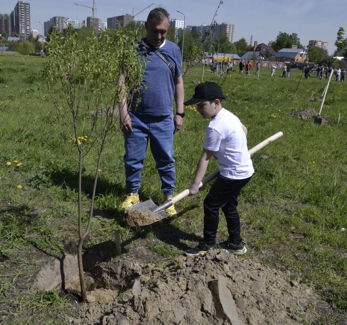 Балашиха, Подмосковье, акции, Лес Победы