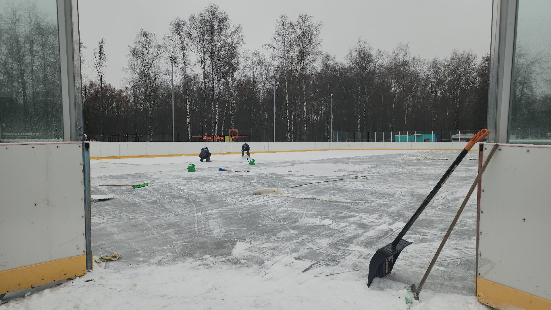 люберцы, наташинский парк, установка елки, заливка катка,