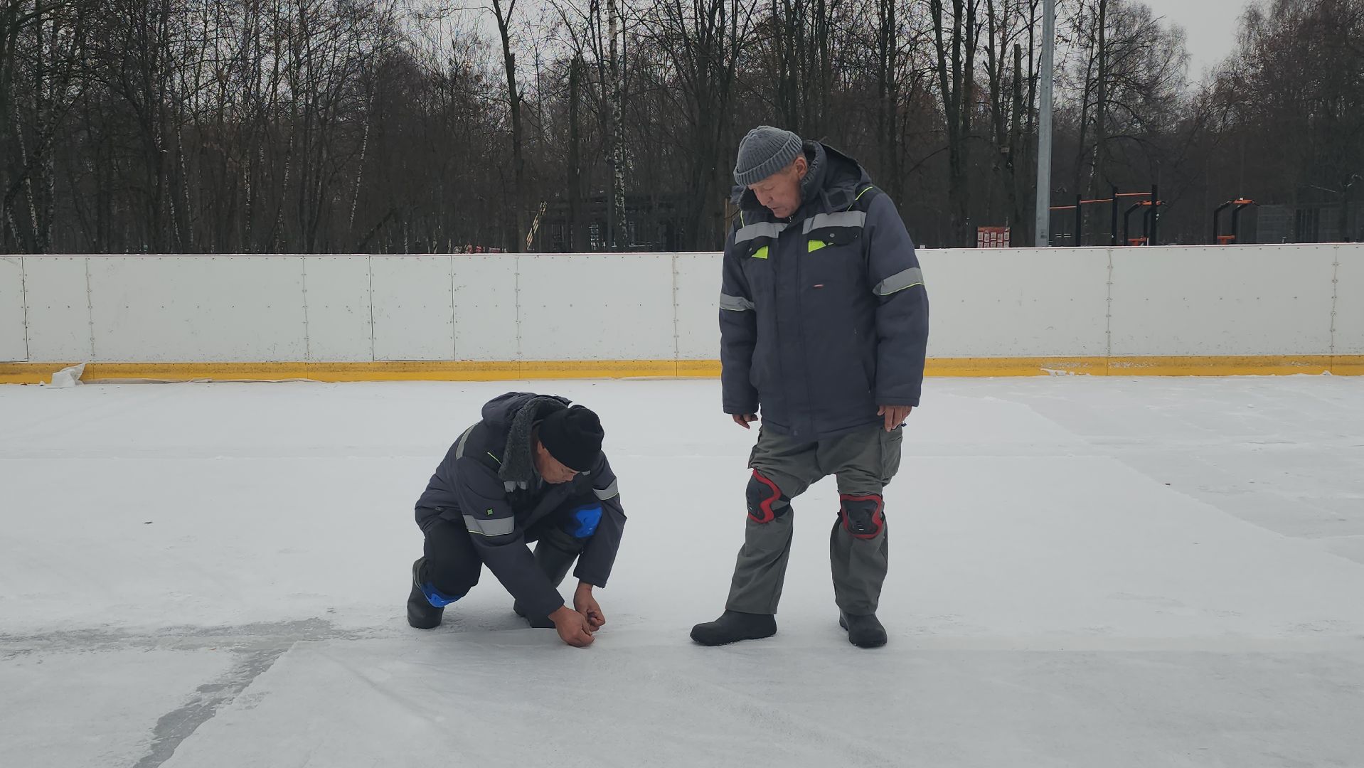 люберцы, наташинский парк, установка елки, заливка катка,