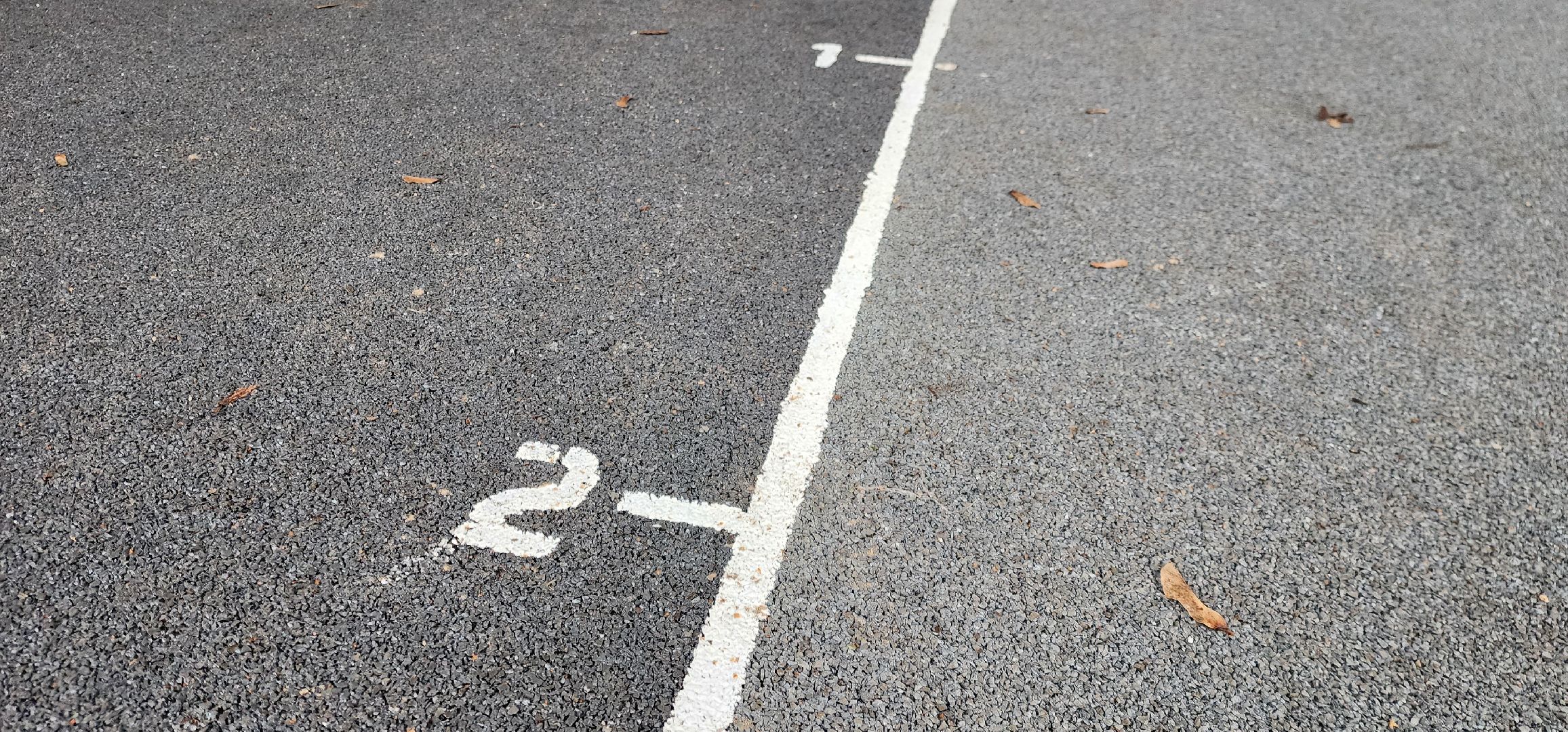 Химки , Благоустройство , Парки,