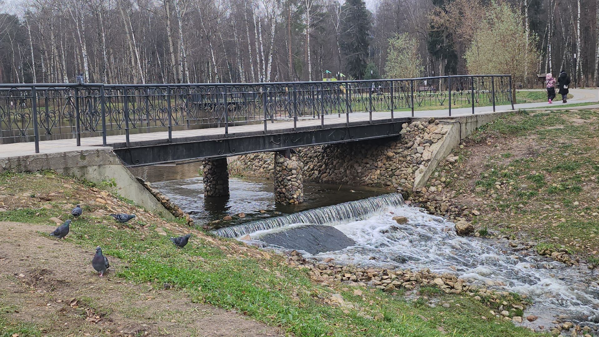 люберцы, малаховское озеро, подготовка к зиме,