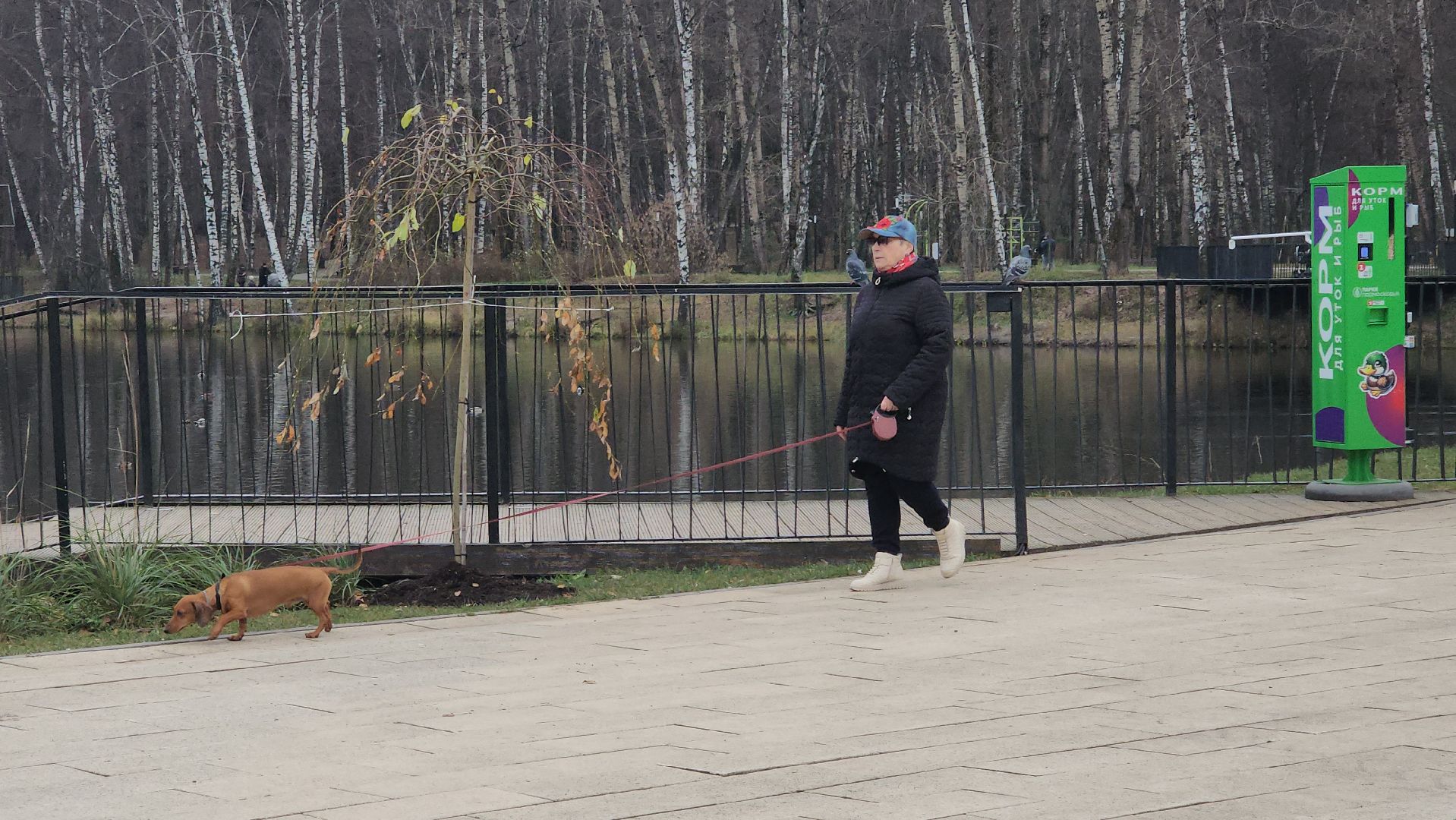 люберцы, малаховское озеро, подготовка к зиме,