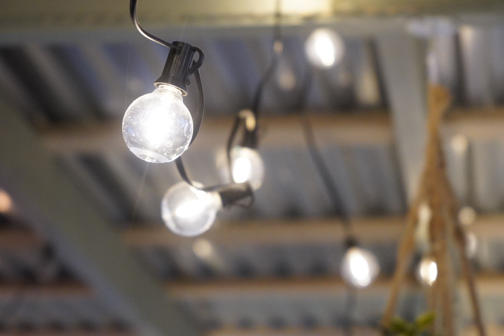 ступино, парк островского, новый год, ёлка,