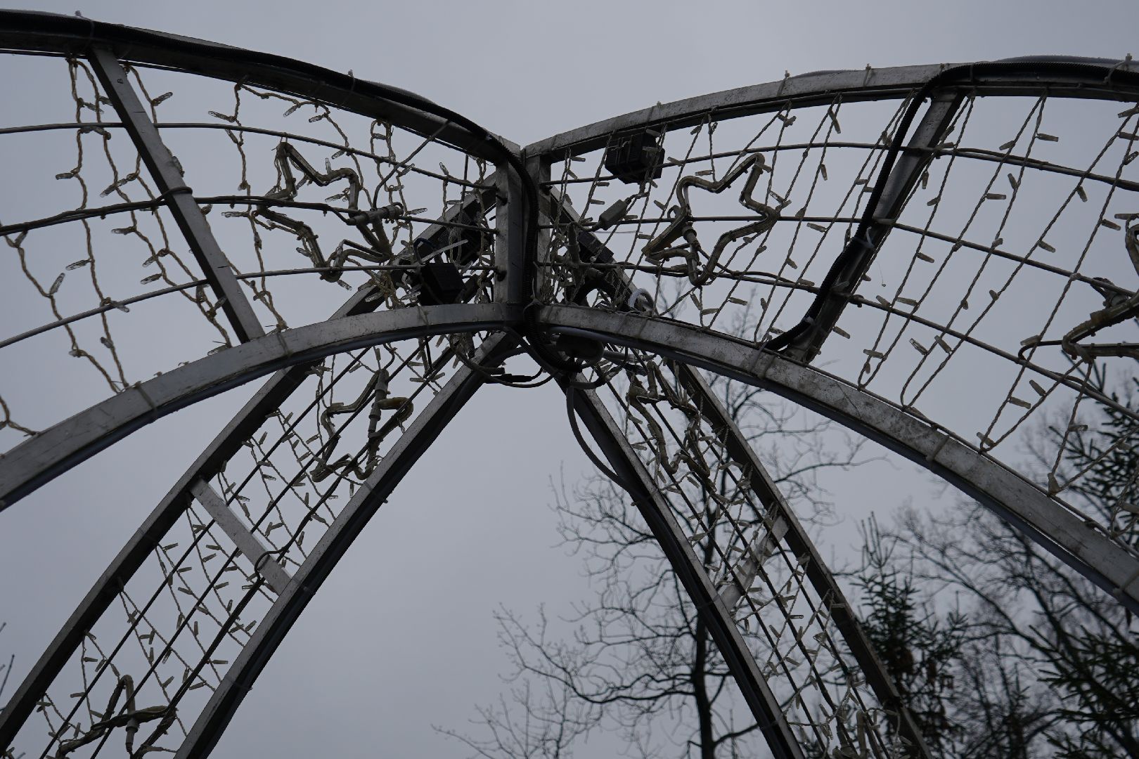 ступино, парк островского, новый год, ёлка,