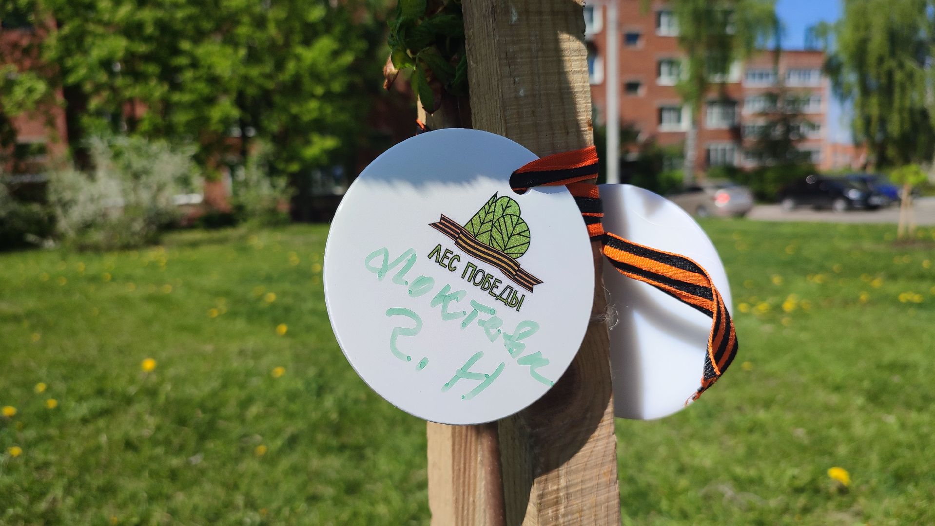 Кашира, лес победы, сад памяти, экология, акция, 9 мая