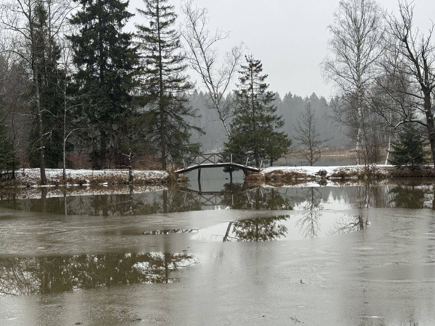 сергиево-посадский городской окру, Абрамцево ,Нижний пруд,