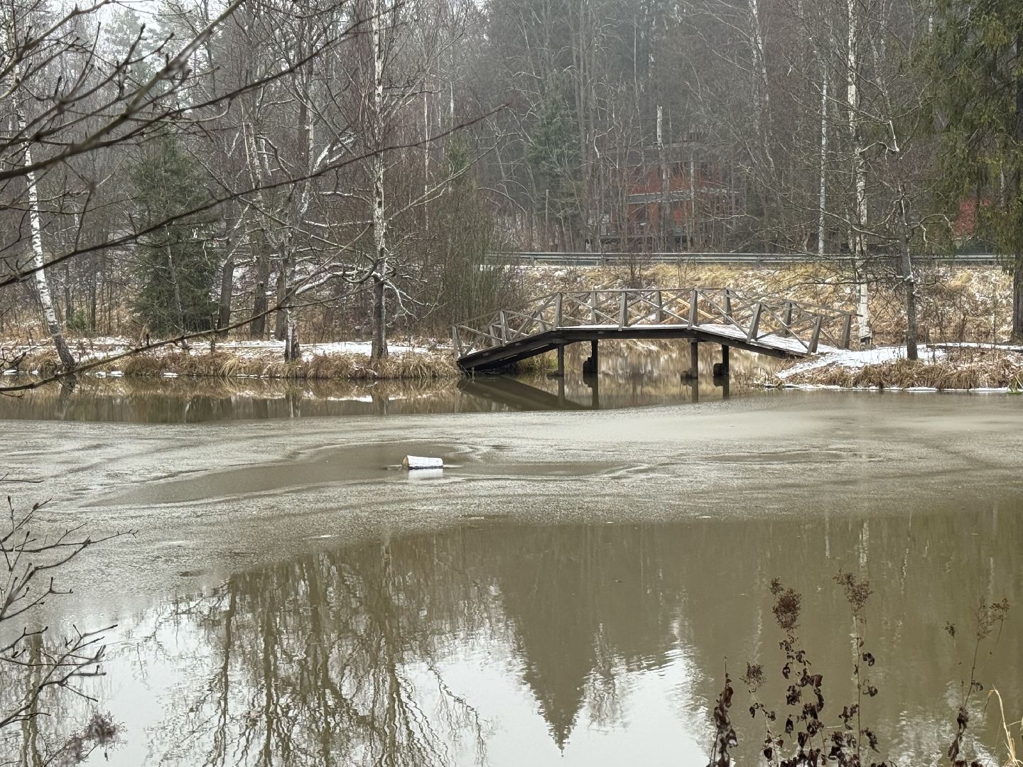 сергиево-посадский городской окру, Абрамцево ,Нижний пруд,