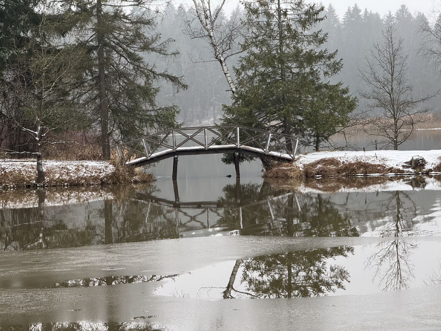 сергиево-посадский городской окру, Абрамцево ,Нижний пруд,