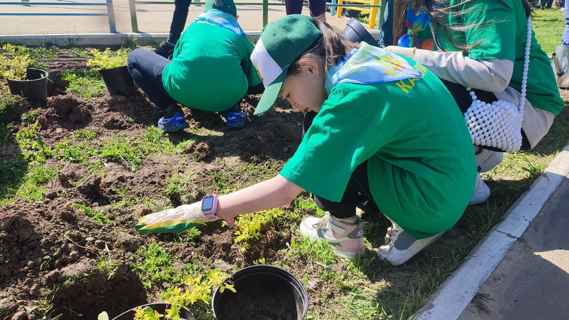 Кашира, лес победы, сад памяти, саженцы, каштан