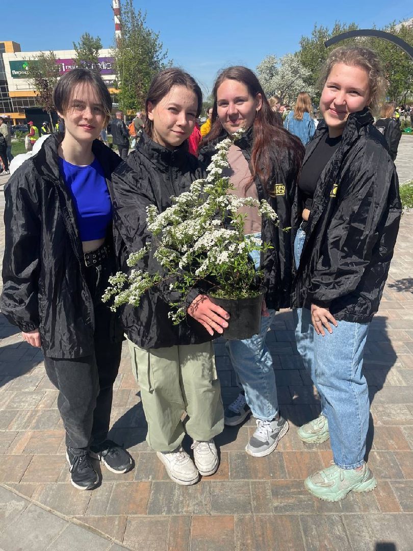 Подольск, деревья