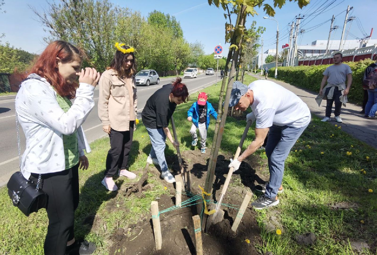 Подольск, деревья