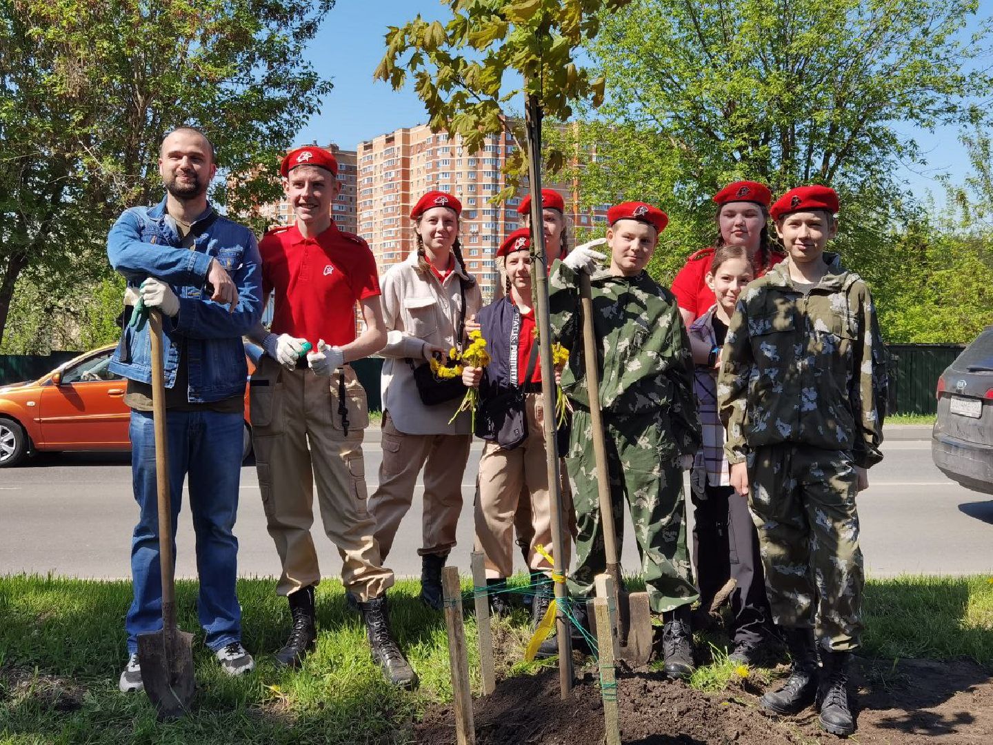 Подольск, деревья