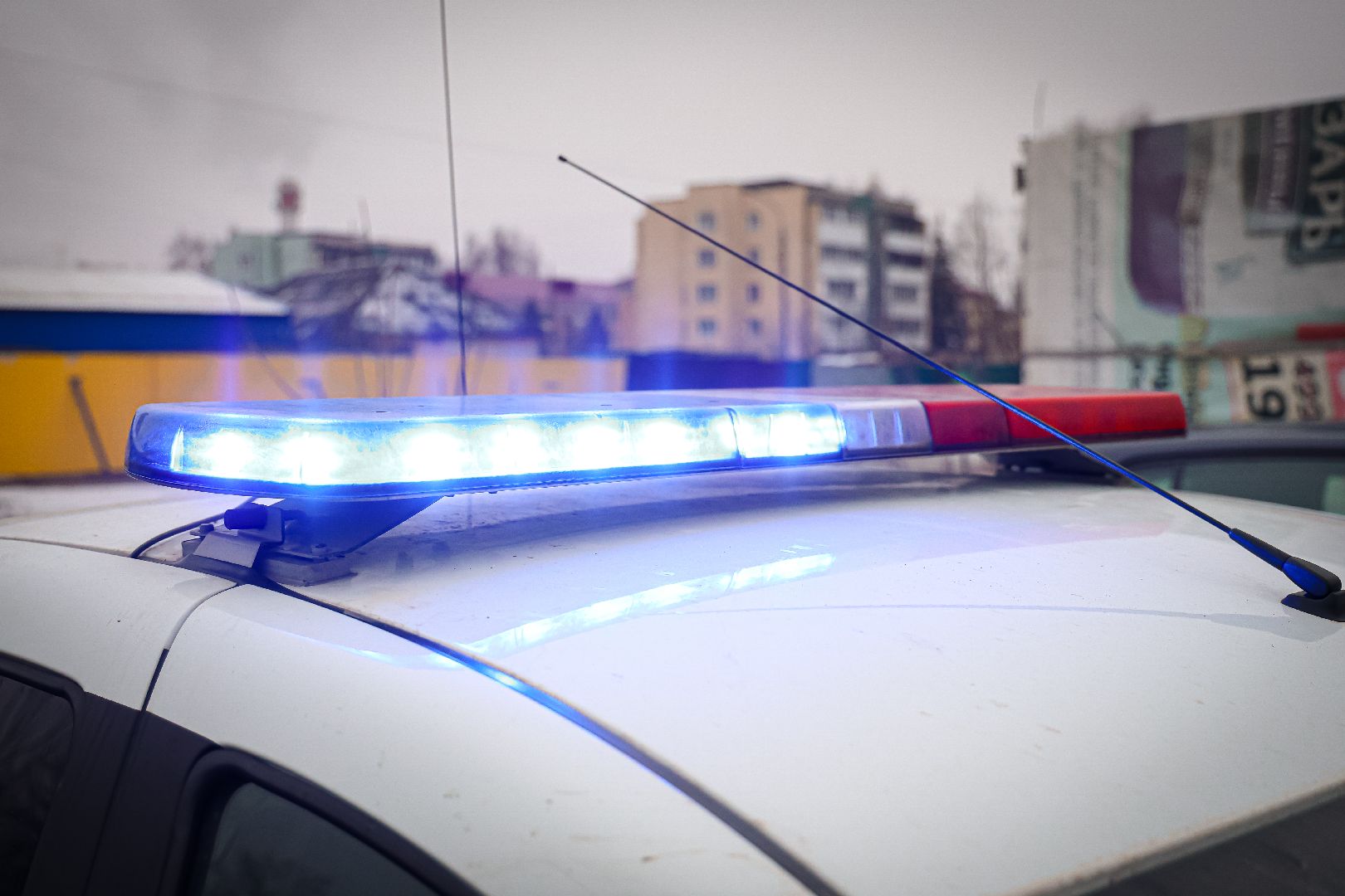 клин, общество, рейд гибдд, детское кресло, транспорт, дороги,