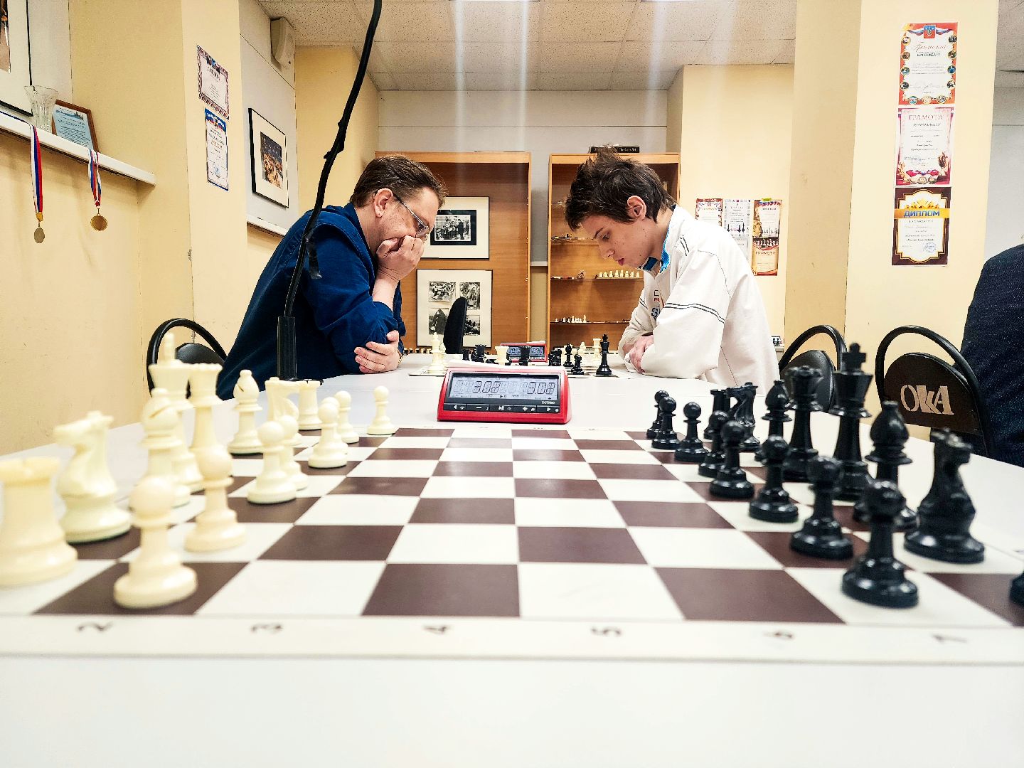 пущино, серпухов, шахматы, спорт,