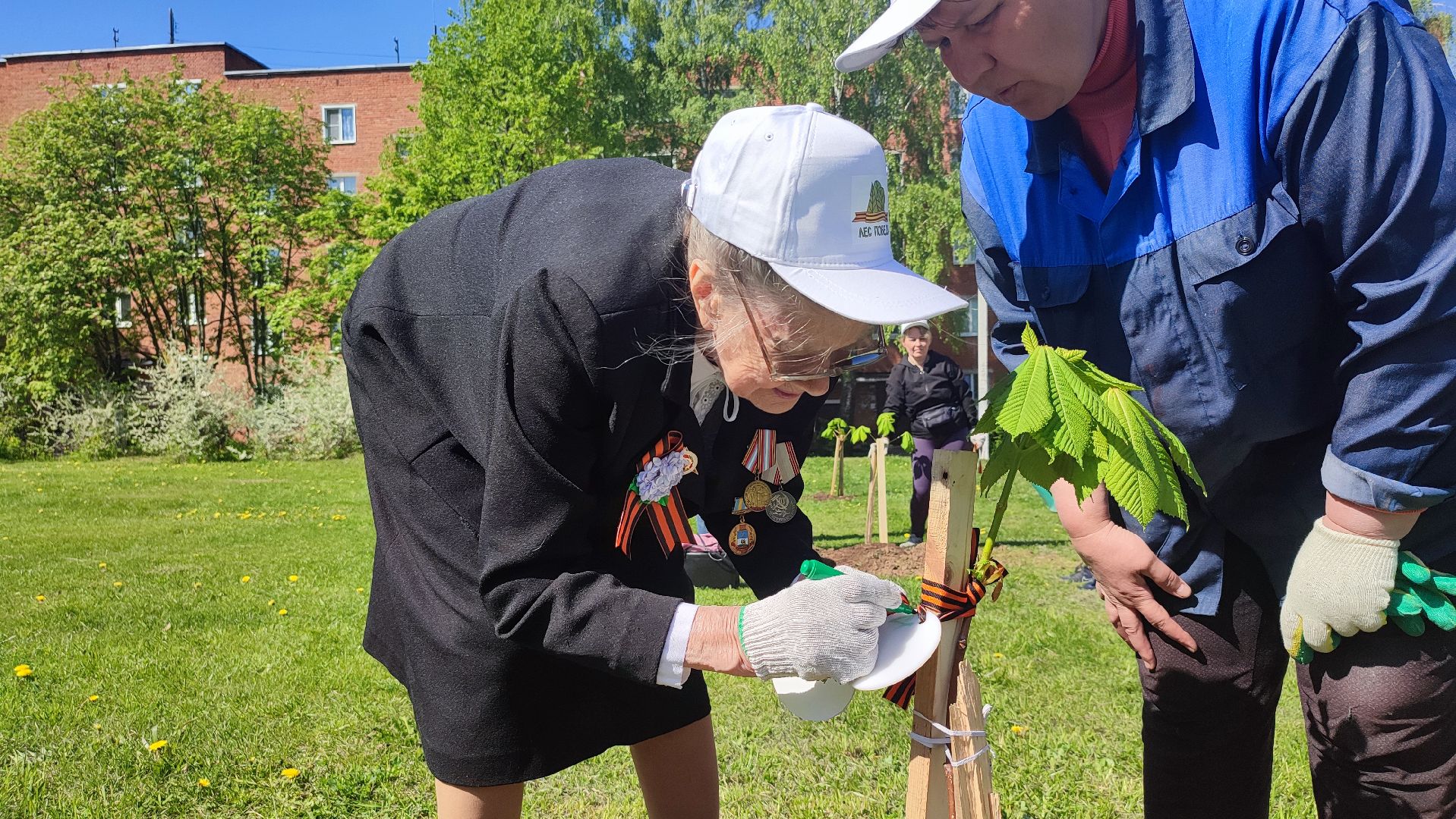 Кашира, лес победы, день победы, акция, экология, волонтеры