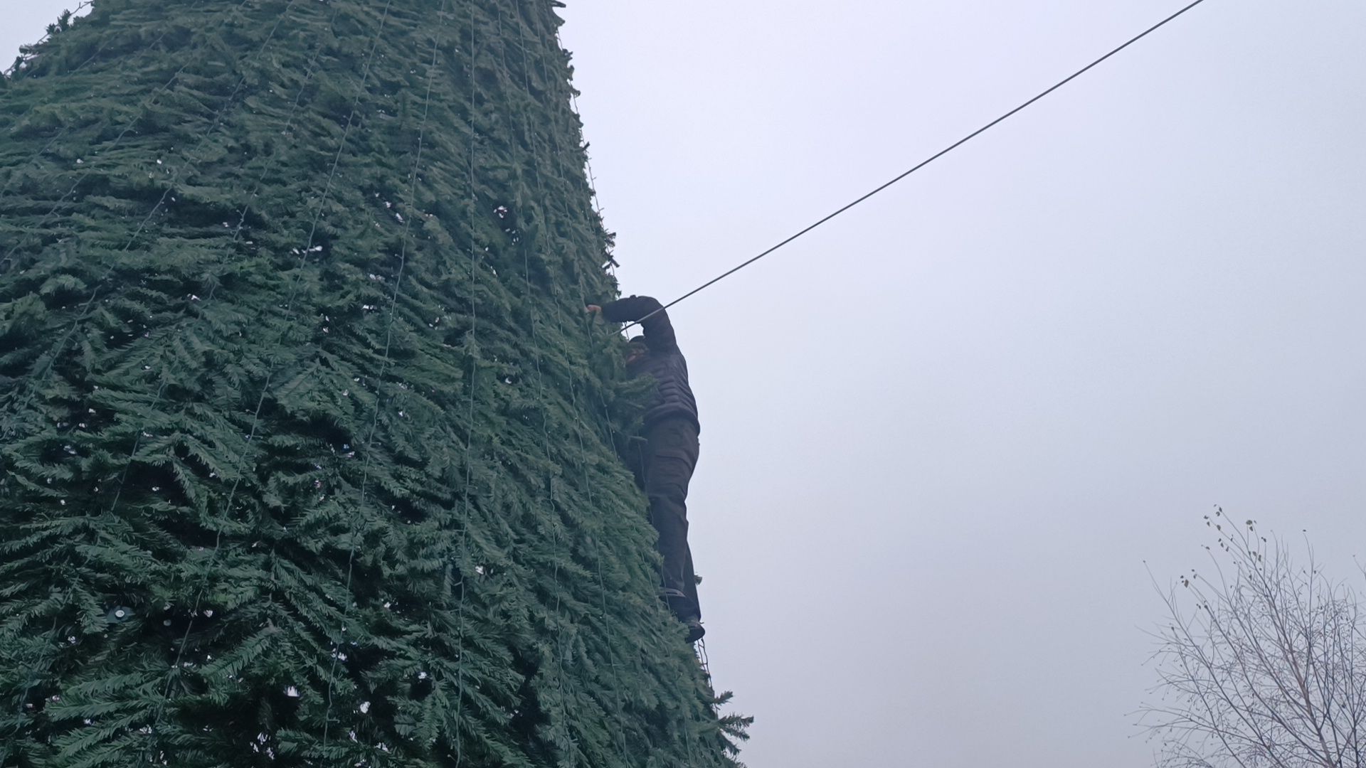 парк, лобня, новый год,