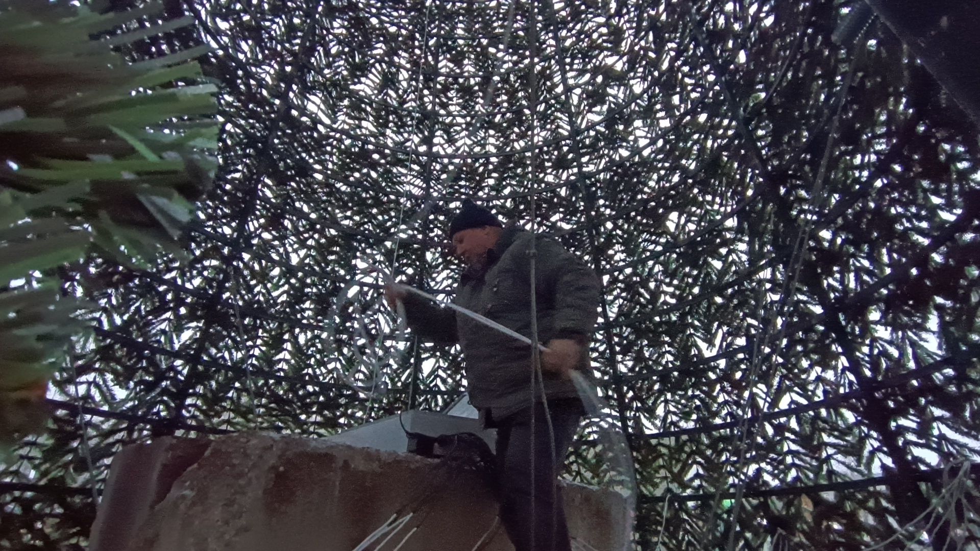 парк, лобня, новый год,