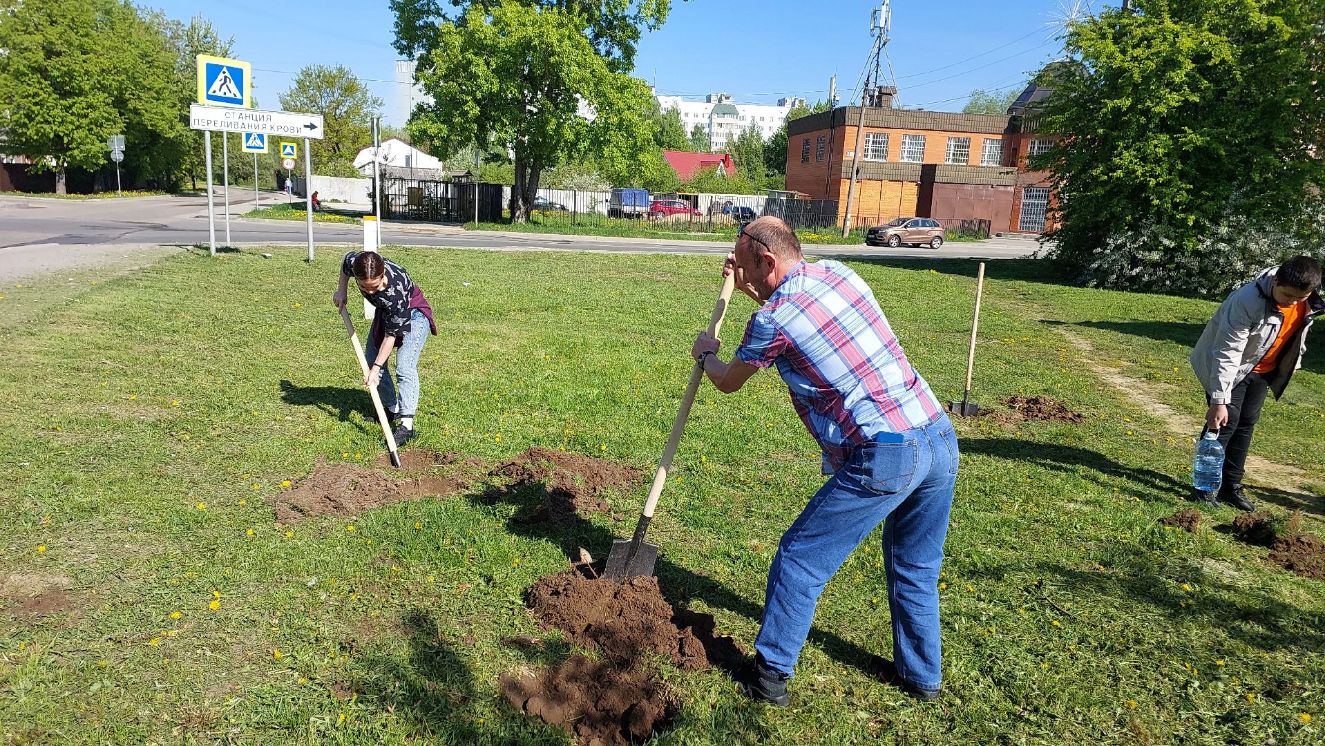 лес победы, день победы, аллея журналистов, серпухов, вов,