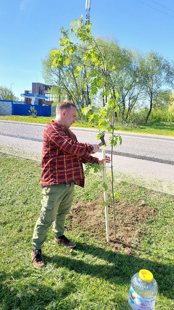лес победы, день победы, аллея журналистов, серпухов, вов,