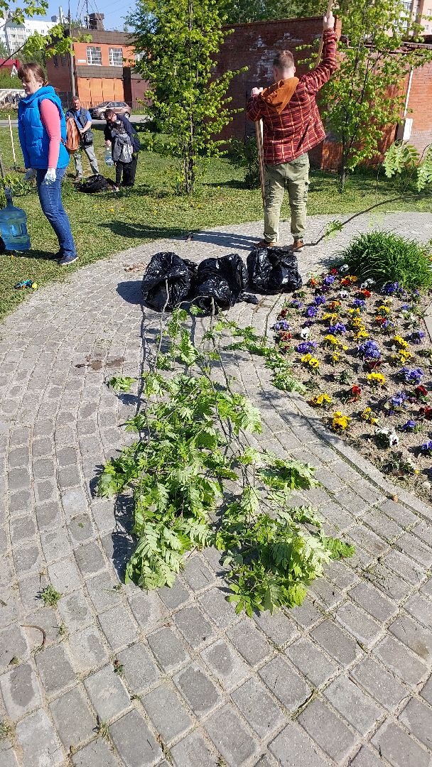 лес победы, день победы, аллея журналистов, серпухов, вов,