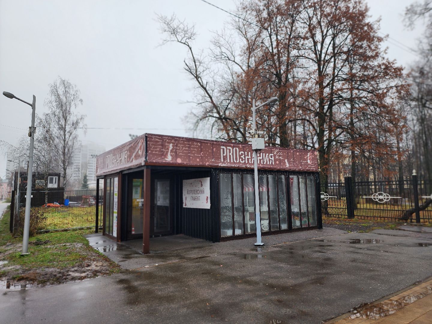 королёв, центральный городской парк в королеве , зима в подмосковье, парки в подмосковье , резиденция деда мороза в королеве,