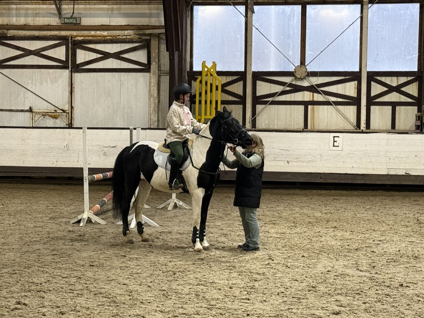 Котельники, Конный спорт, Лошади , Уход , Зима,