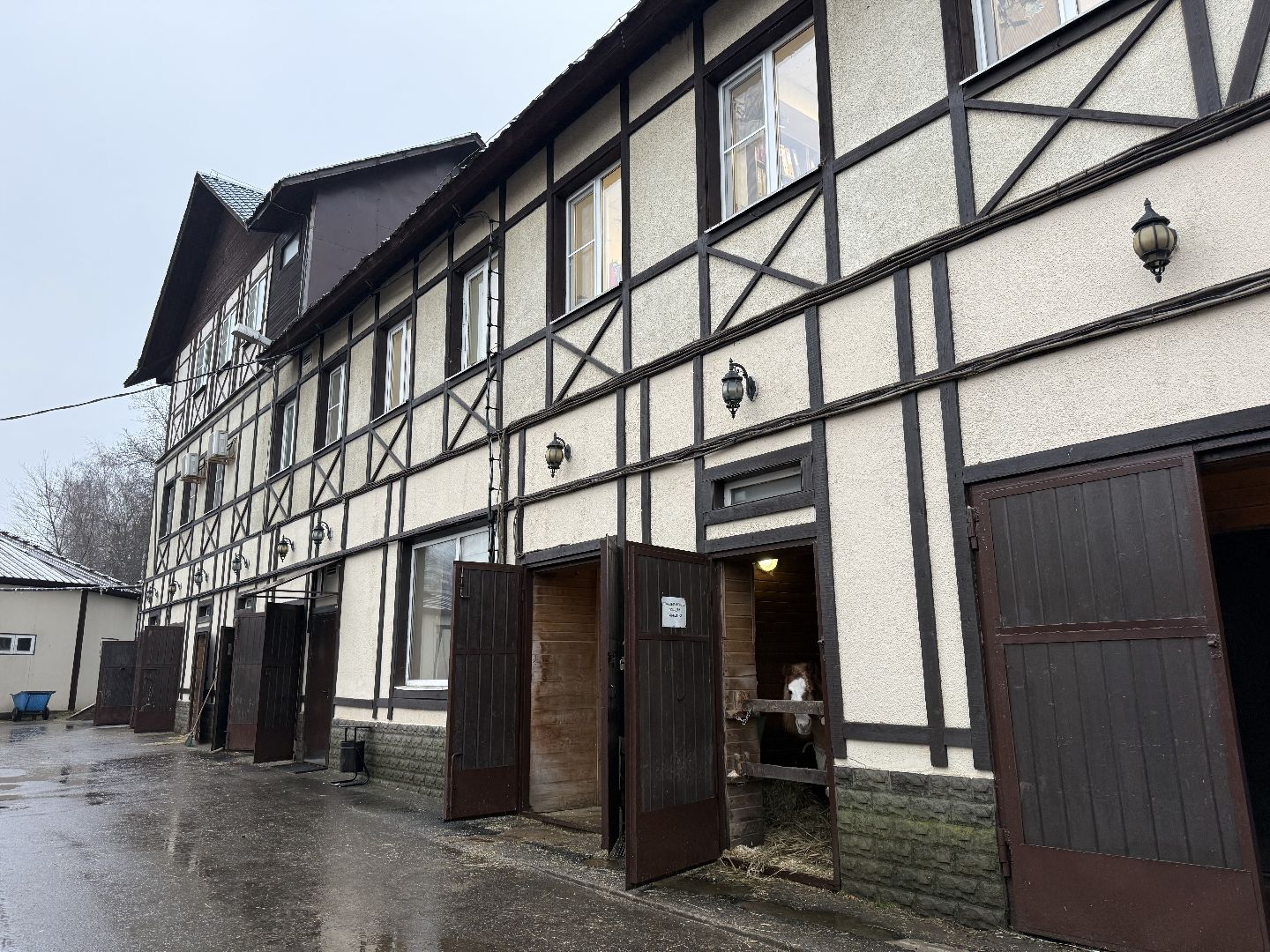 Котельники, Конный спорт, Лошади , Уход , Зима,