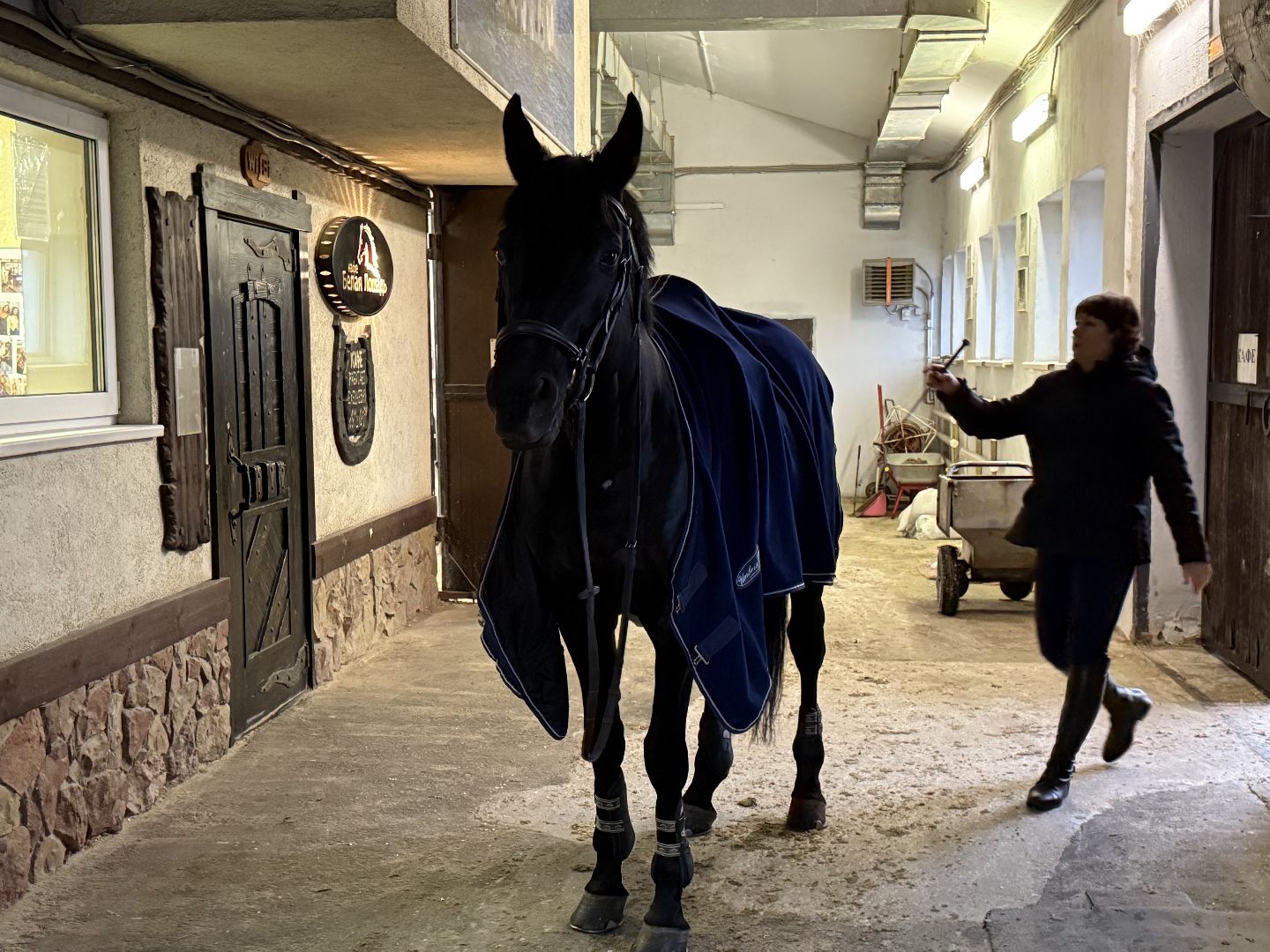 Котельники, Конный спорт, Лошади , Уход , Зима,