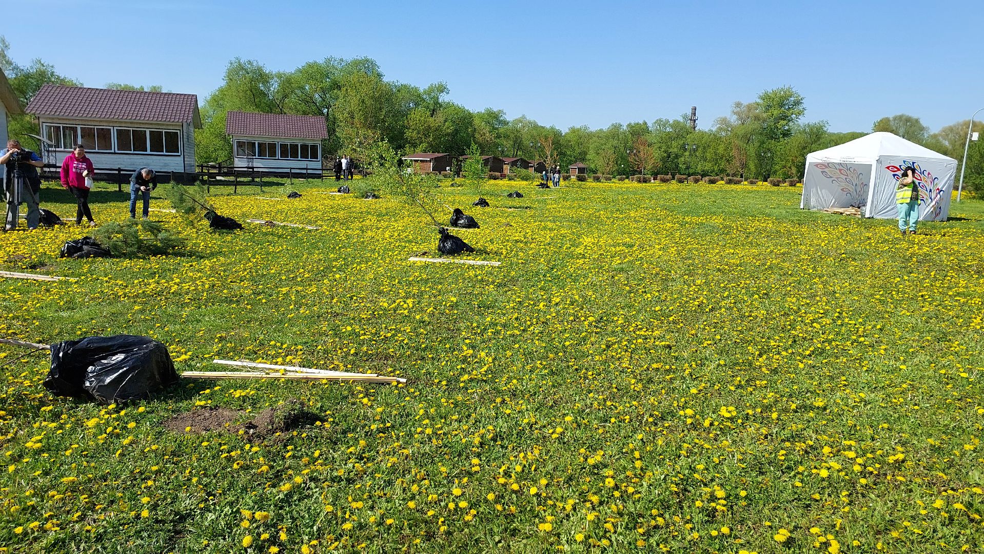 лес победы, день победы, русский лес, саженцы, серпухов, вов,