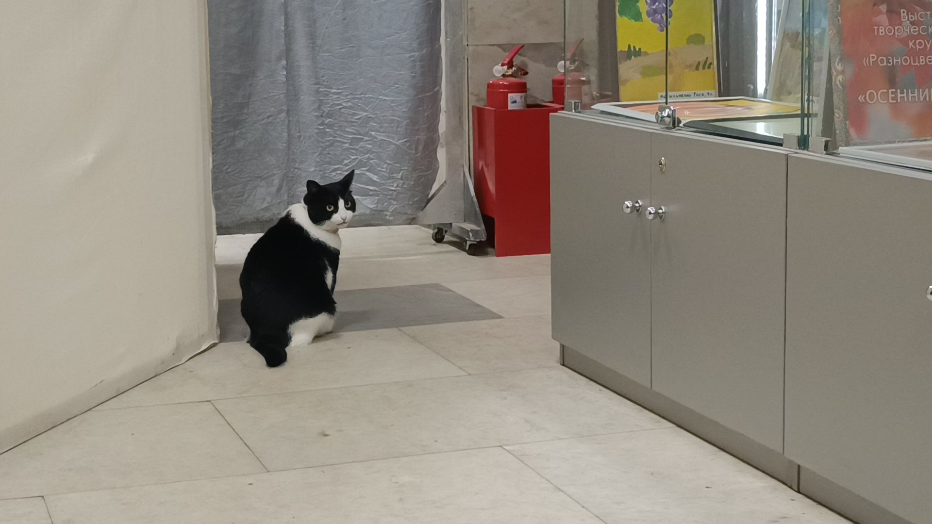 капремонт, лобня, культура,