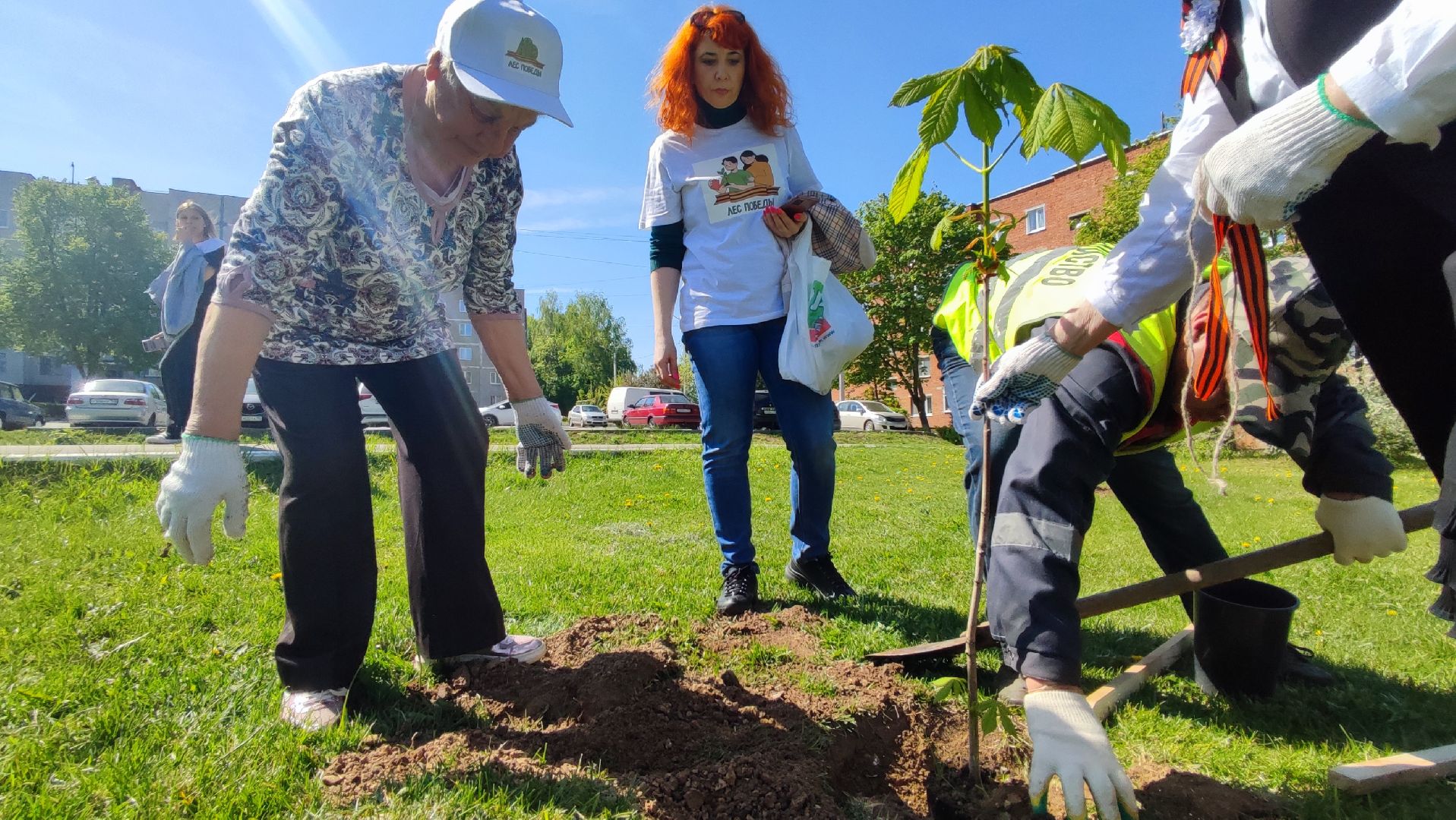 Кашира, ветераны, лес победы, каштан, спирея, экологическая акция