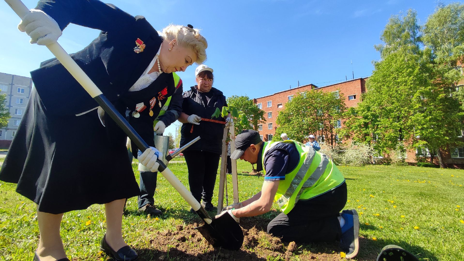 Кашира, ветераны, лес победы, каштан, спирея, экологическая акция