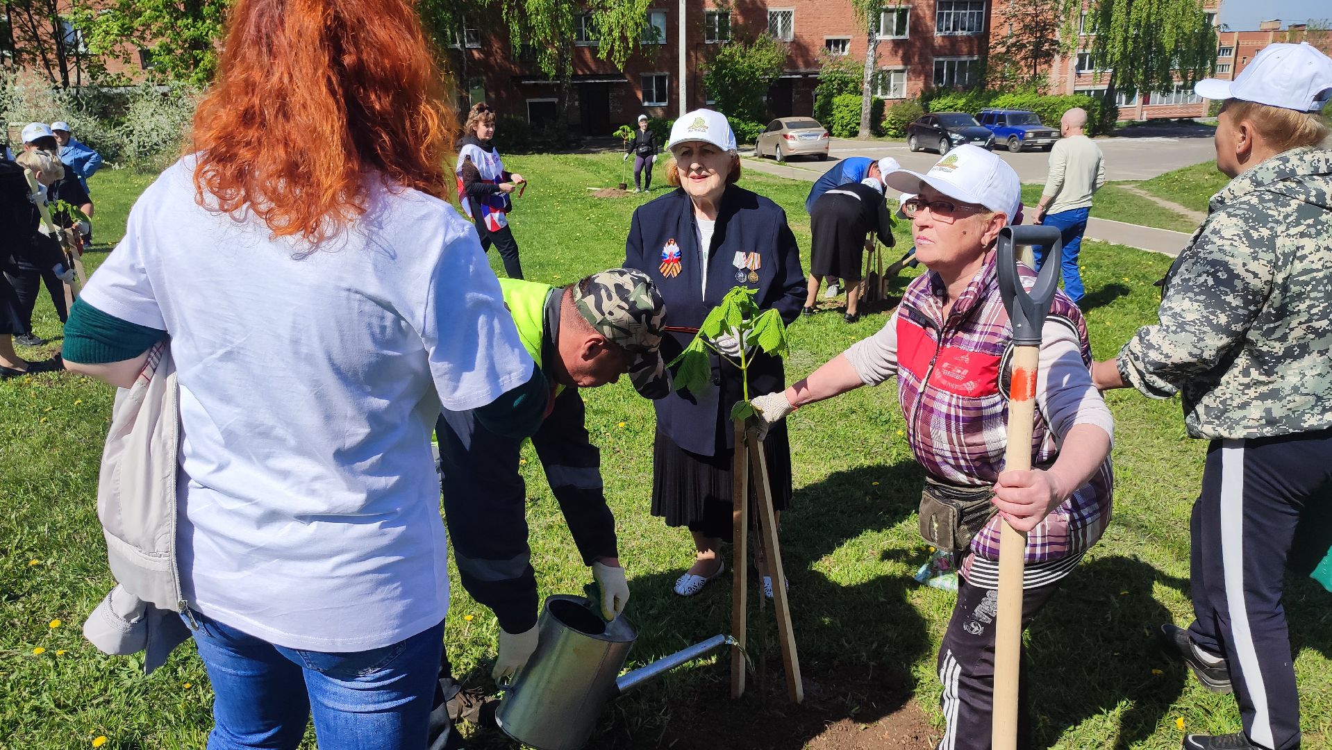 Кашира, ветераны, лес победы, каштан, спирея, экологическая акция