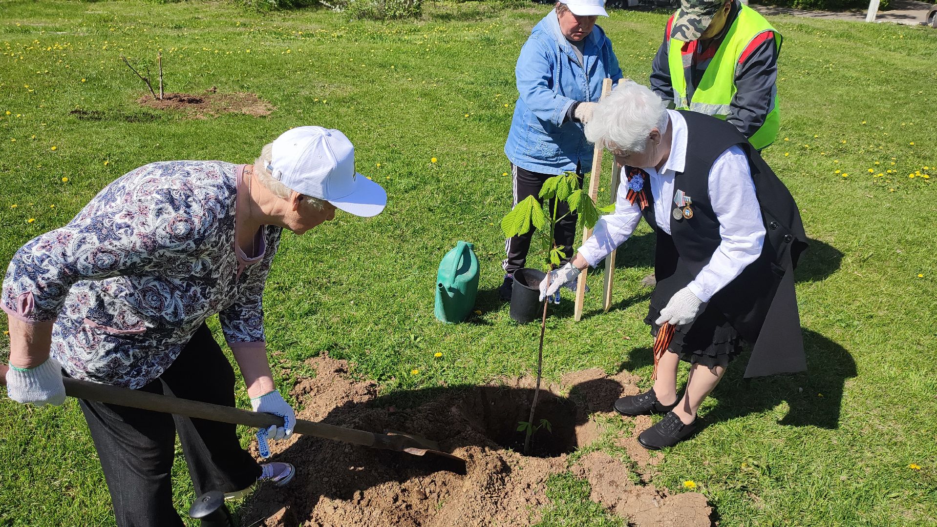 Кашира, ветераны, лес победы, каштан, спирея, экологическая акция