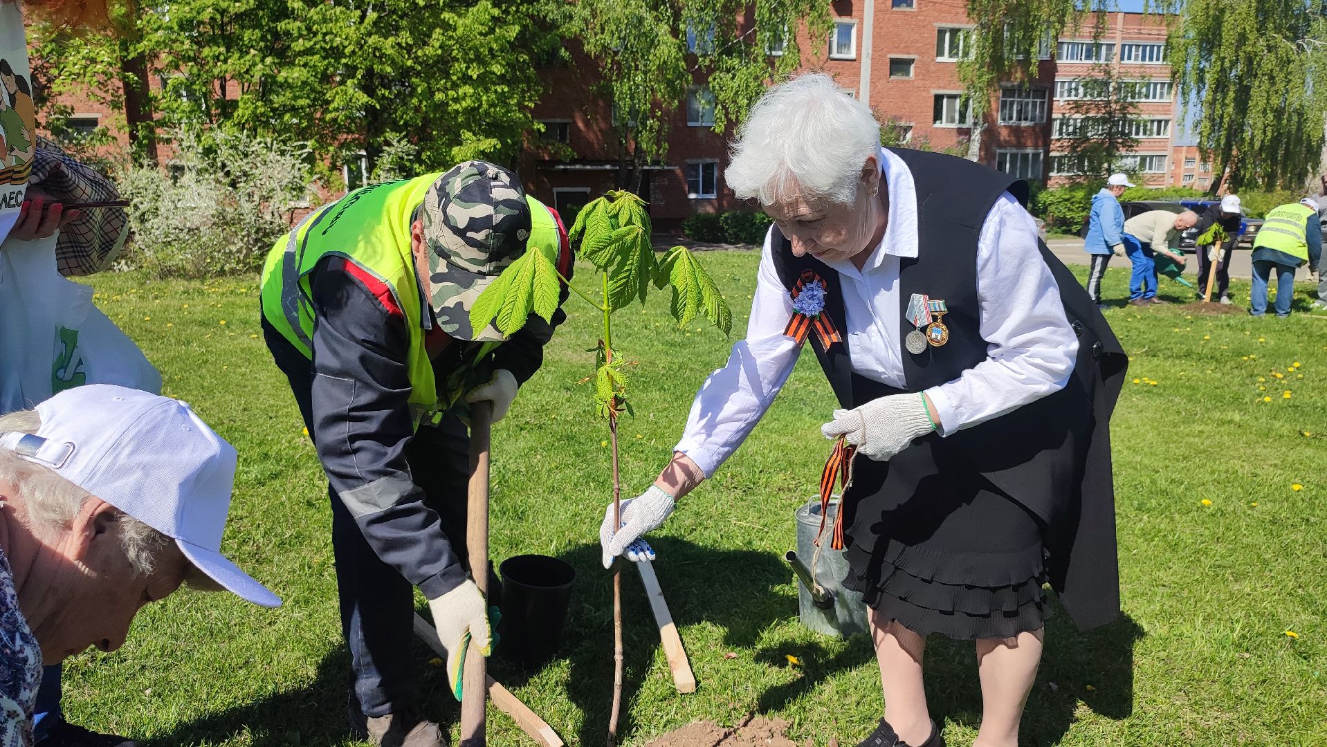 Кашира, ветераны, лес победы, каштан, спирея, экологическая акция