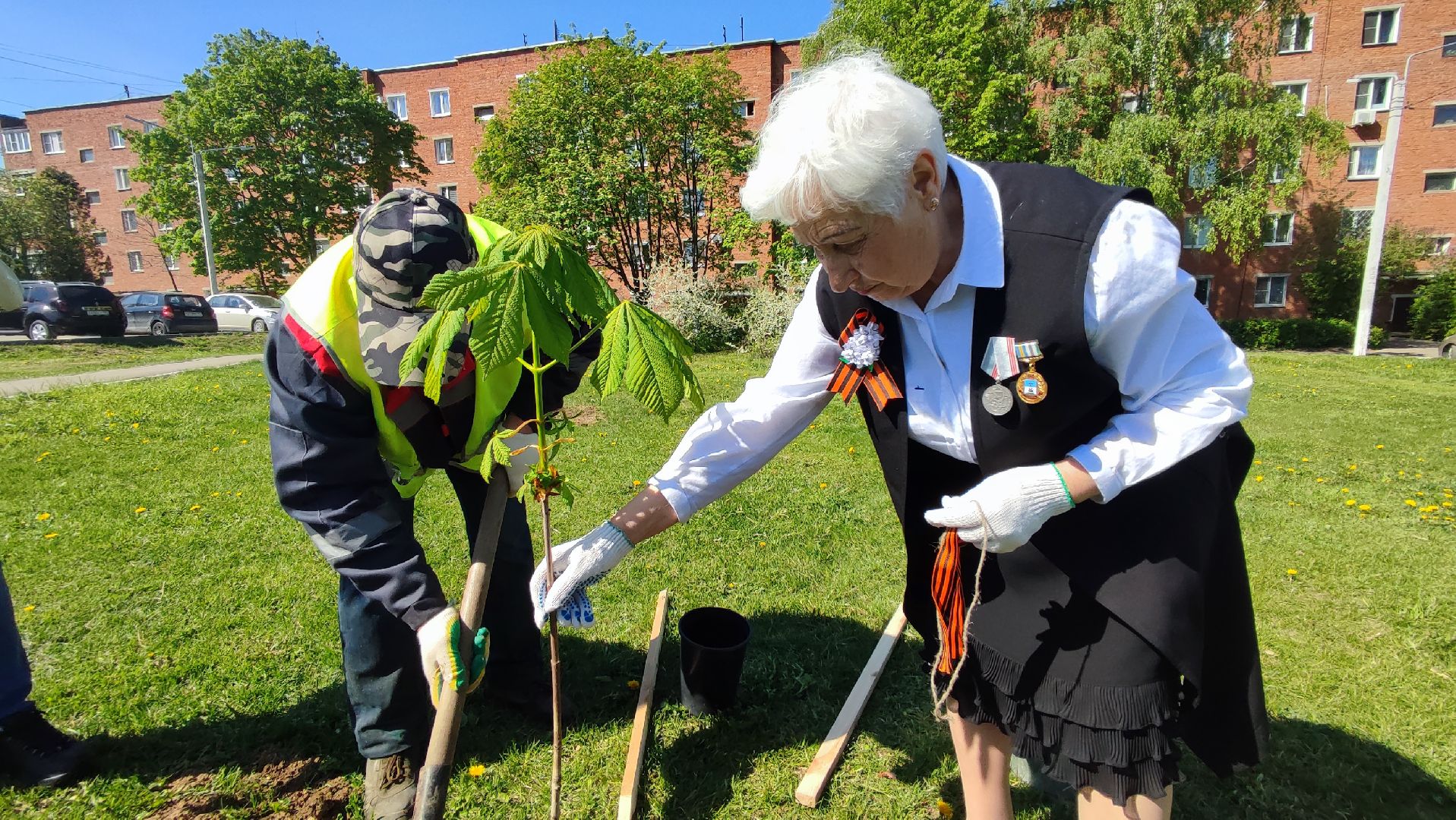 Кашира, ветераны, лес победы, каштан, спирея, экологическая акция