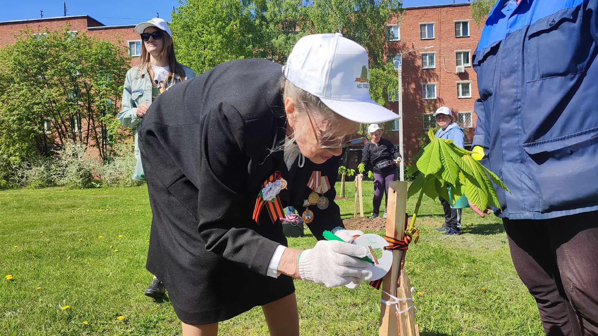 Кашира, ветераны, лес победы, каштан, спирея, экологическая акция