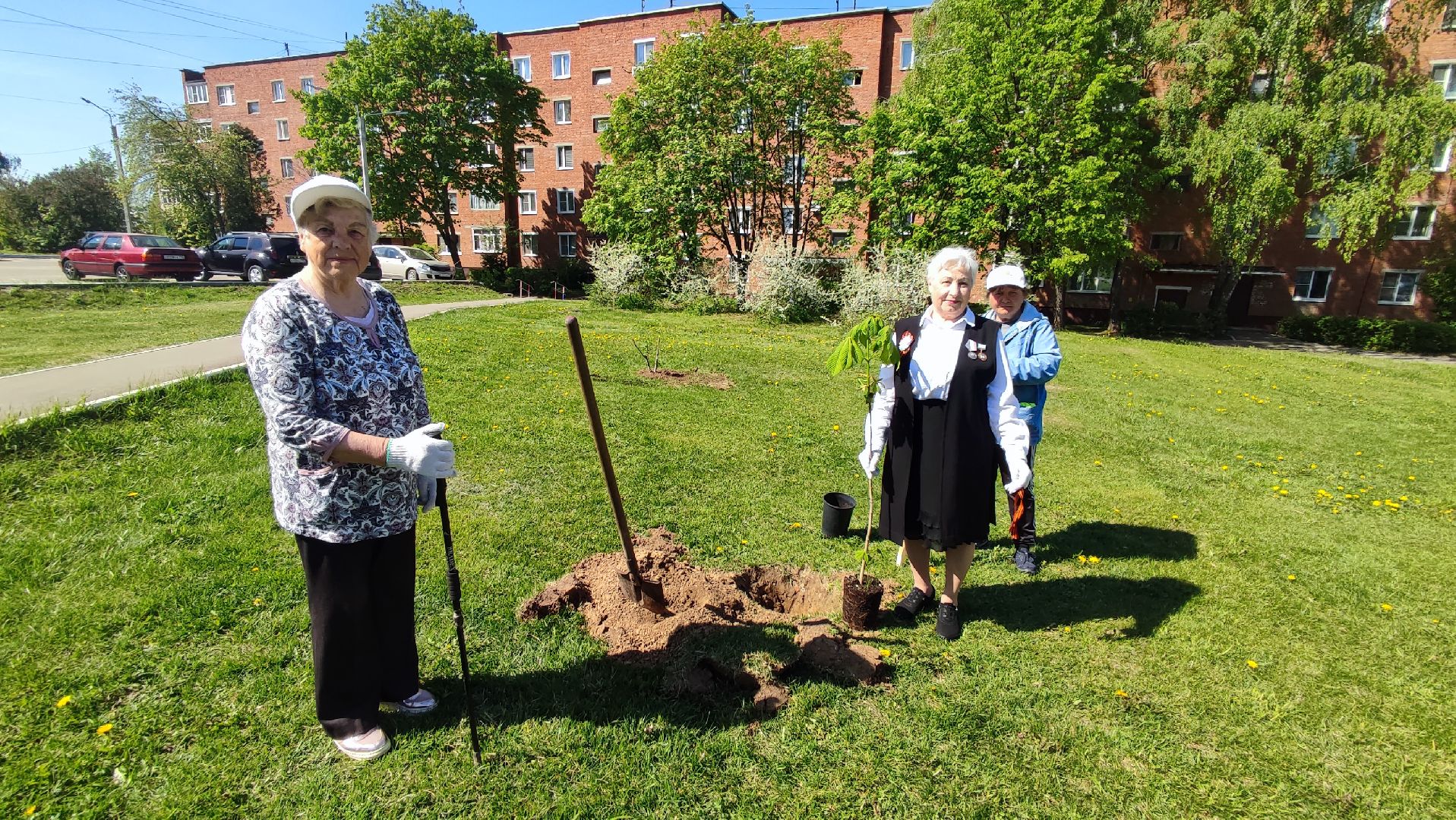 Кашира, ветераны, лес победы, каштан, спирея, экологическая акция