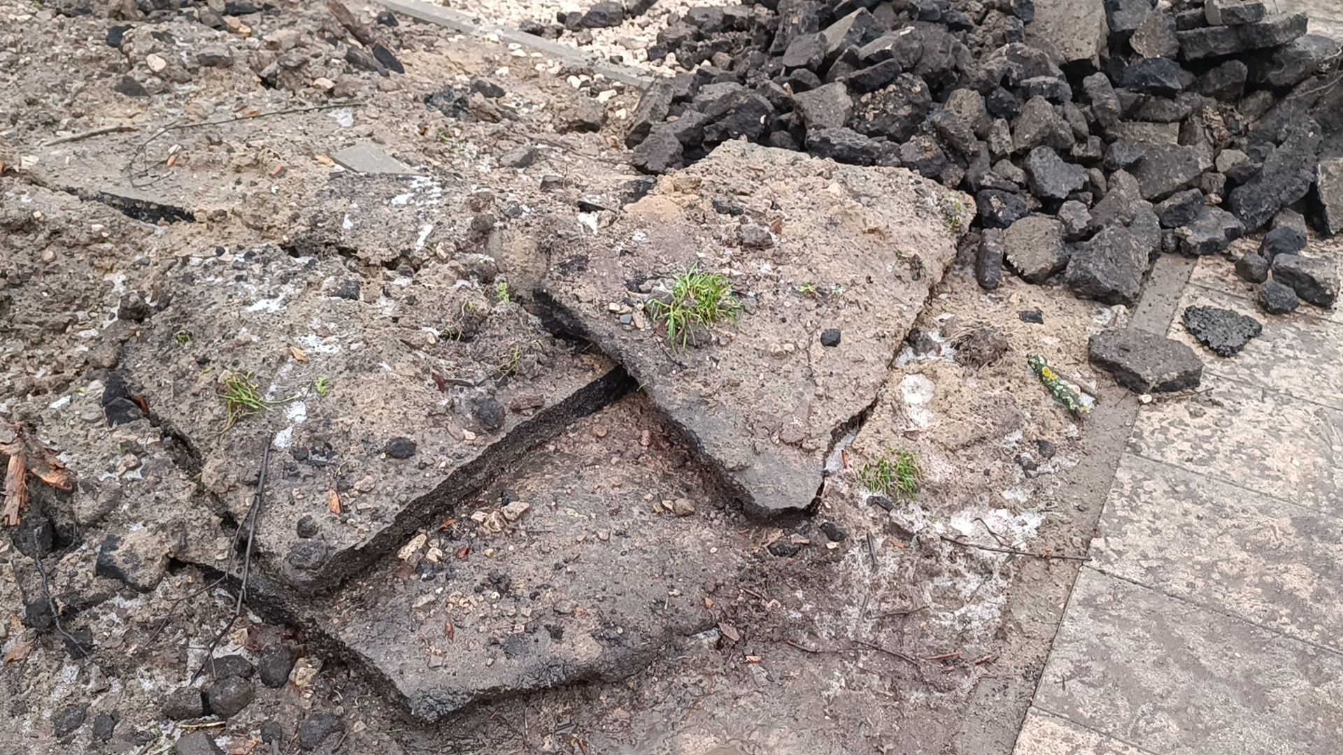 парк, благоустройство, лобня,