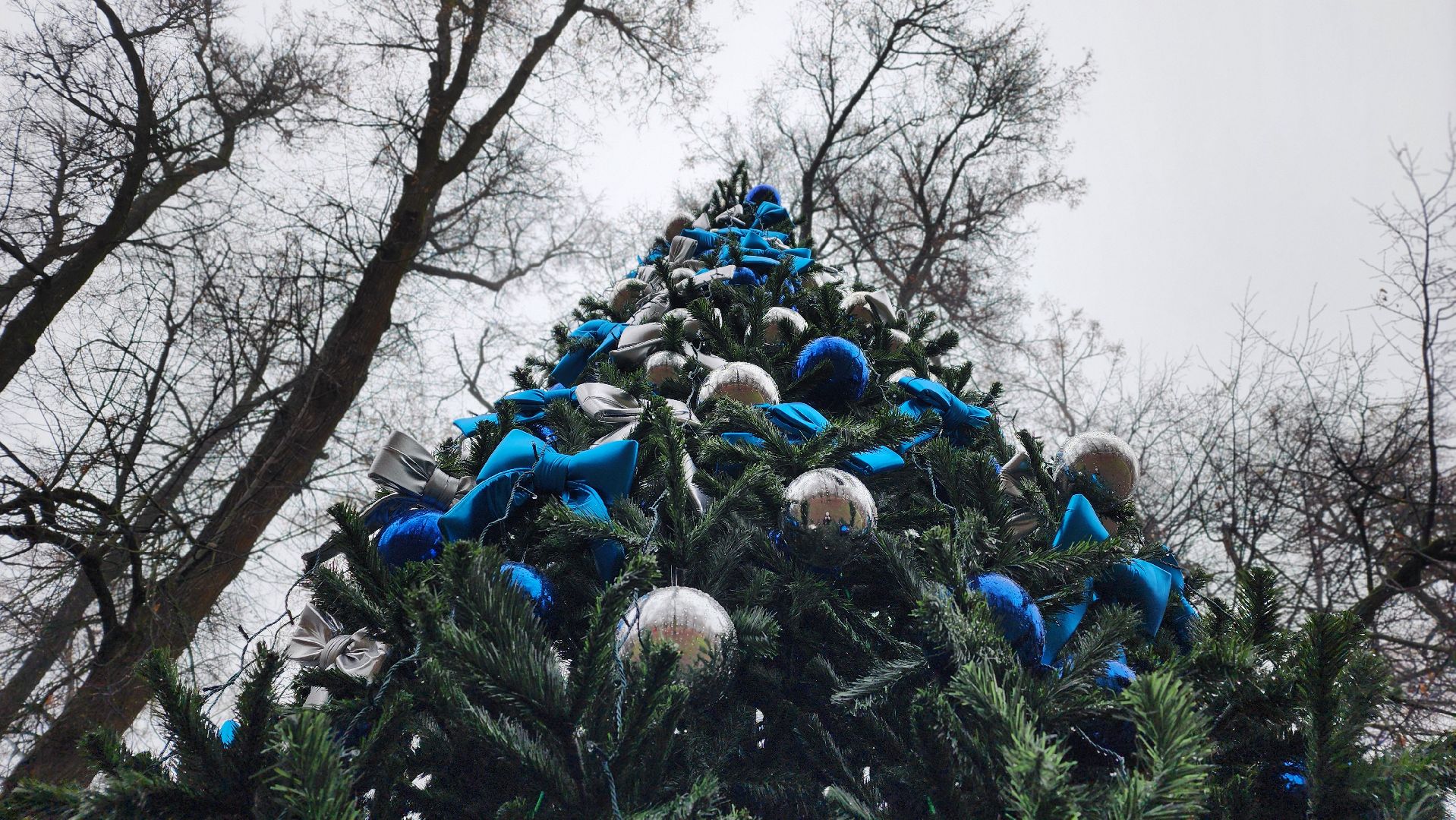 парки подмосковья, зимний сезон, зима в подмомсковье, лосино-петровский,